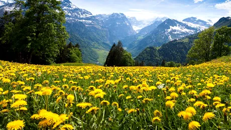 Elvetia pastreaza legala sinuciderea asistata