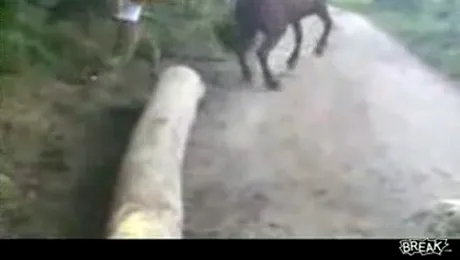 Karate cabaline, pentru salbaticul din tine! (VIDEO)