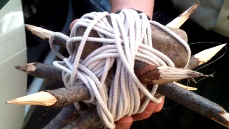 Arestați pentru că au montat capcane letale pe traseele din pădure