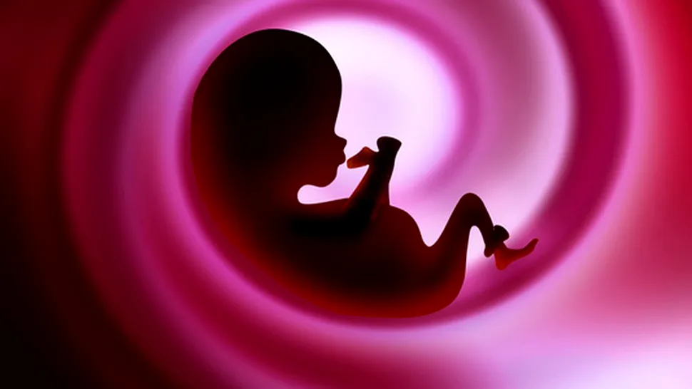 Cum arată fătul în a treia lună de sarcină (Video)