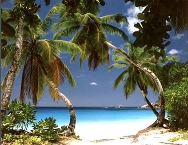 Seychelles , locul in care Raiul a coborat pe Pamant.