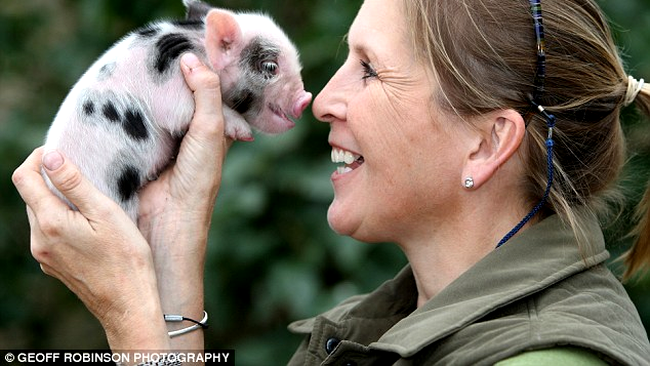 Jane, cea care creste miniporcii