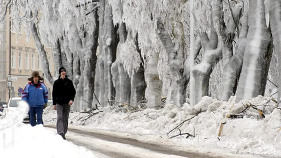 Iarna a transformat Slovenia într-un palat de gheață
