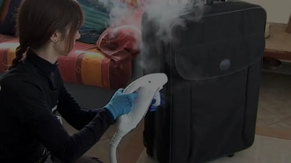 (P) Mini-ghid: Cum să fii atent la ploșnițele de pat în concediu și cum să scapi eficient acasă