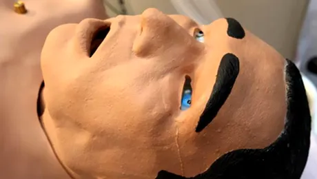 Primul robot contaminat cu virusul gripei porcine