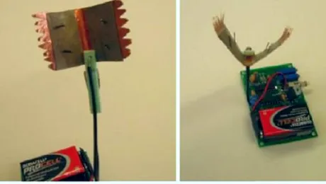 Robotii se pot reincarca singuri, transformand insectele in energie electrica (Video)