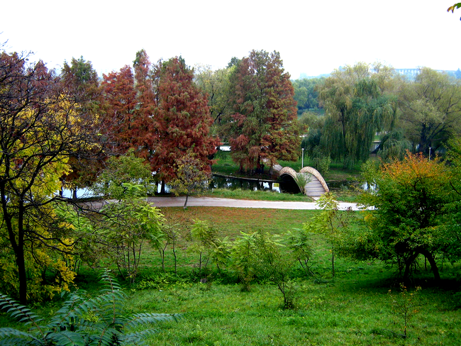 Parcul Tineretului