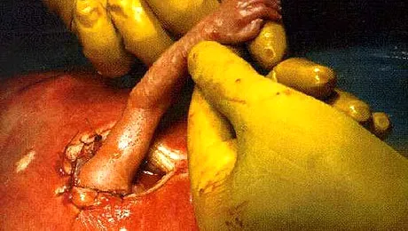 Cea mai impresionanta fotografie, din 1999 incoace