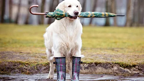 Vremea.Apropotv.ro: Prognoza meteo pentru joi, 13 noiembrie 2014