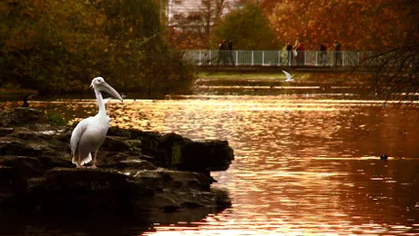 Vremea.Apropo.ro: Prognoza meteo pentru miercuri, 18 septembrie 2013
