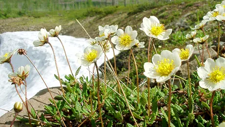 Vremea.Apropo.ro: Prognoza meteo pentru miercuri, 6 noiembrie 2013