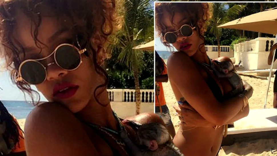

Rihanna a adoptat o maimuţică
