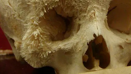 15 ciudățenii care te vor uimi