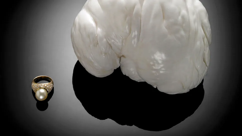 A doua cea mai mare perla din lume valoreaza peste 275.000 de euro
