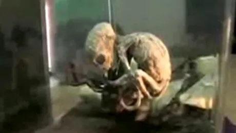 Extraterestrul lor a uimit lumea noastra! (video)