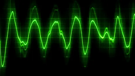 Adevaratul om-liliac se deplaseaza folosind ecolocatia