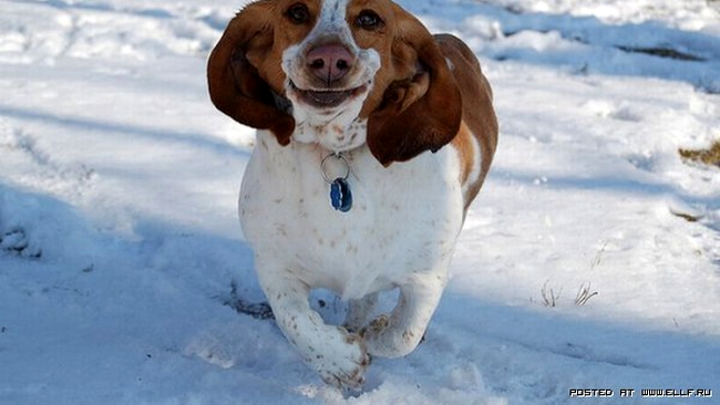 Un zambet de zile mari