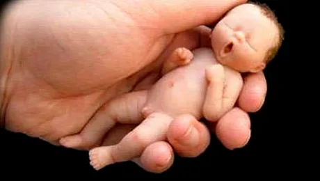 Arta cu bebelusi din ciocolata