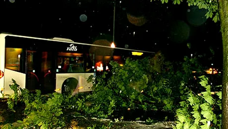 Furtuna puternica in Bucuresti, cu inundatii si pomi cazuti