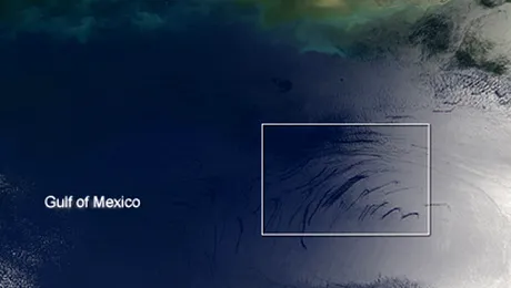 British Petroleum a inceput plata despagubirilor pentru dezastrul din Golful Mexic