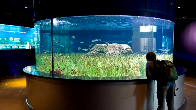 L'Oceanografic Aquarium
