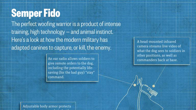 Configuratie caini Navy Seal