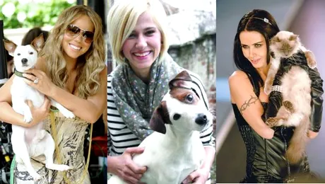 Ce animale de companie şi-au ales vedetele