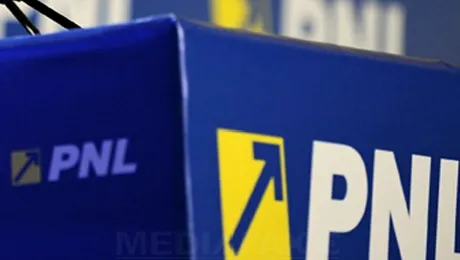 Rezultate finale ALEGERI EUROPARLAMENTARE: PNL obține aproape 18 % din voturi în județul Bacău, printre cele mai bune rezultate din țară