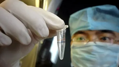 H5N1 a fost „programat” să omoare oameni!