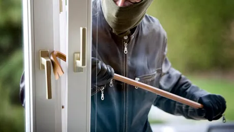 Plec in vacanta. Cui las pisica, margaretele si papagalul?