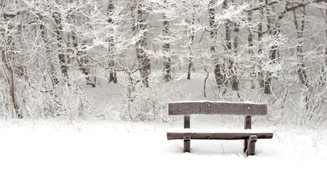 Vremea.Apropo.ro: Prognoza meteo pentru sâmbătă, 7 decembrie 2013