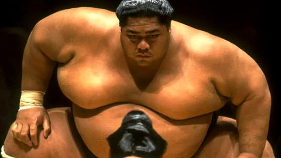 Câte calorii conține dieta zilnică a unui luptător de sumo!