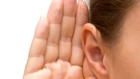 Cum funcționeaza auzul?