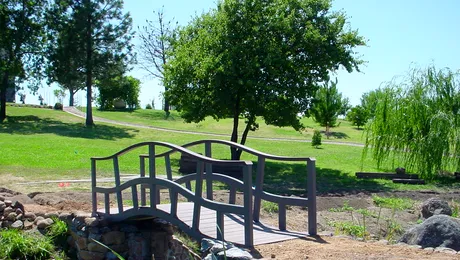 Rus arestat după ce a furat un pod!