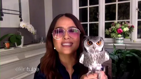 7 vedete care au animale de companie neobișnuite (Video)