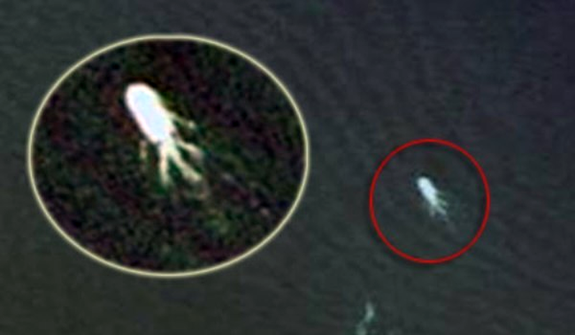 Monstrul din Loch Ness, vazut din satelit