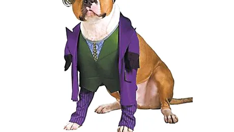 330 milioane de dolari pentru a costuma cățeii de Halloween