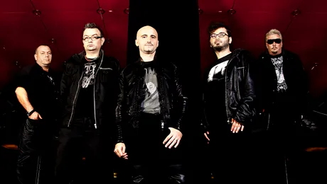 Voltaj îţi aduce bradul de Crăciun