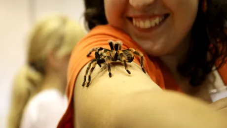 Pet Expo 2010 si-a deschis portile (poze)