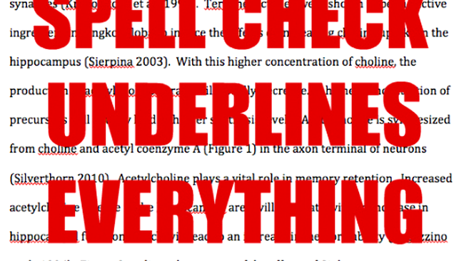 Editarea documentelor tehnice în Microsoft Word