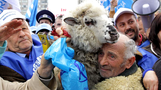 Oameni si animale, la mitingul din Piata Victoriei