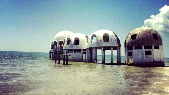 Case cu boltă abandonate în Southwest Florida