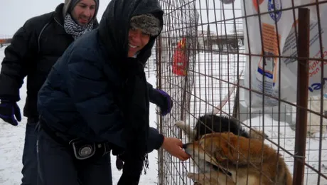 Nadine a dat la lopată pentru câinii comunitari