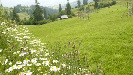 Vremea.Apropo.ro: Prognoza meteo pentru vineri, 23 mai