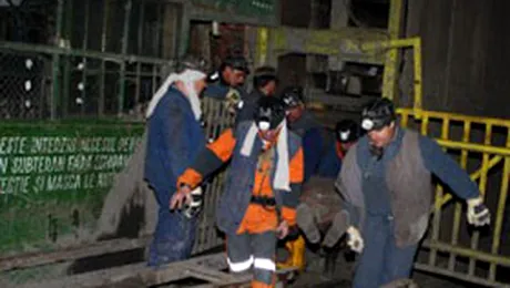 FRF va dona victimelor de la Petrila incasarile de la meciul cu Georgia (Mediafax)