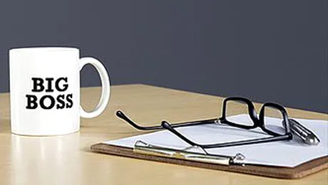 Exclusiv! Iata ce stiu sa faca cei din industria software!