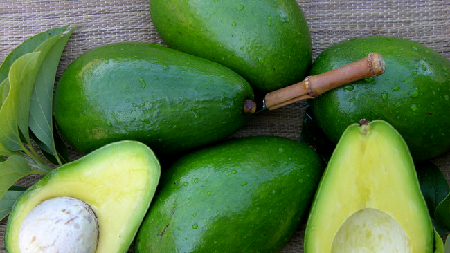 avocado