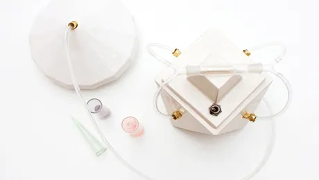 S-a inventat aparatul de fotografiat care captează și mirosul!