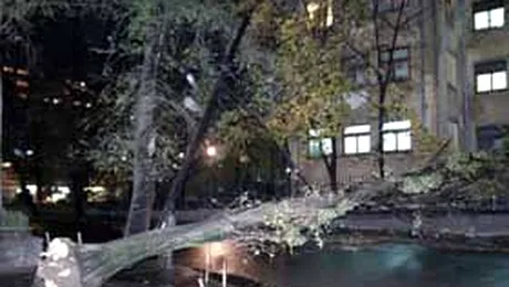 Furtuni scurte, dar puternice, in Cluj si Maramures