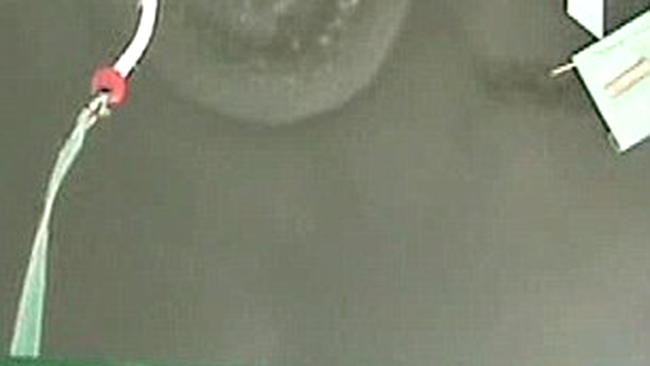 rishi bungee jumping